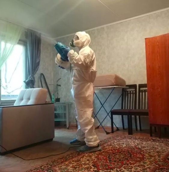 дезинсекция квартиры в Кунгуре